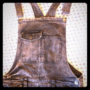 NWT Sterling Wash Overalls